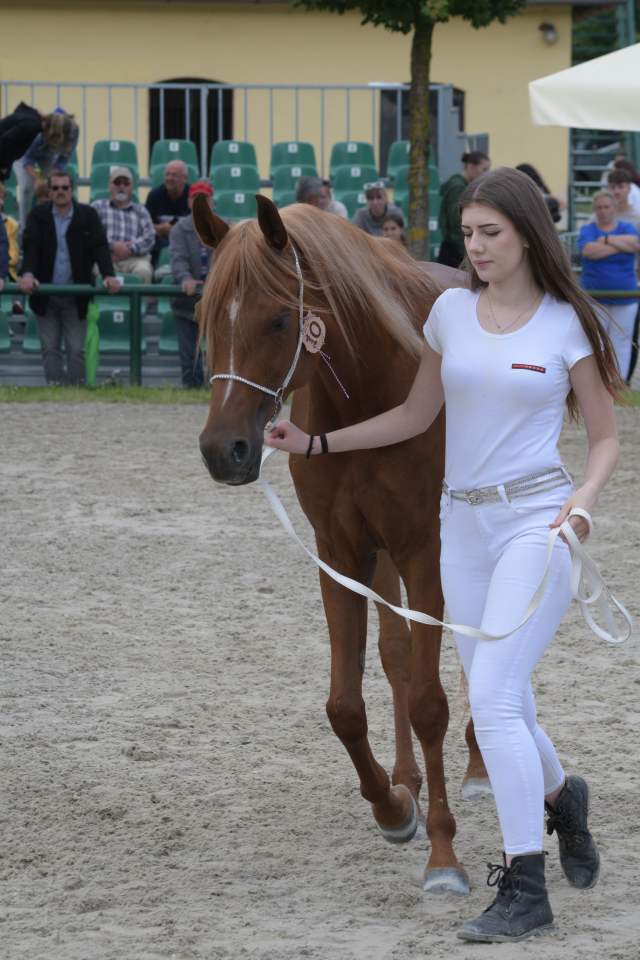 DSC_6420